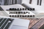 重庆大足永晟实业发展2023年债权资产1号政府债定融的简单介绍