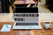FNGX债权项目(债券项目)