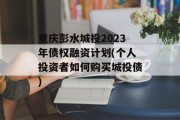 重庆彭水城投2023年债权融资计划(个人投资者如何购买城投债)