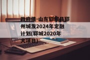 政府债-山东郓城县郓州城发2024年定融计划(郓城2020年大项目)