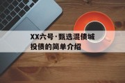 XX六号·甄选混债城投债的简单介绍