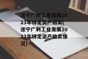 遂宁广利工业发展2023年特定资产拍卖(遂宁广利工业发展2023年特定资产拍卖情况)