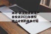 湖北-武汉阳逻新港产业投资2023年债权转让计划的简单介绍