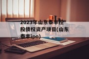 2023年山东泰丰控股债权资产项目(山东泰丰ipo)