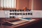 山东枣庄物环2024债权收益权(山东枣庄环保)