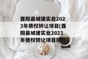 酉阳县城建实业2023年债权转让项目(酉阳县城建实业2023年债权转让项目招标)