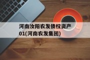 河南汝阳农发债权资产01(河南农发集团)