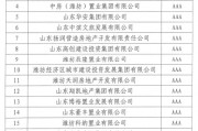 潍坊滨城公有2022债权(潍坊滨城投资债权)
