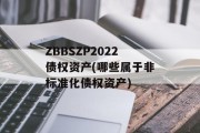 ZBBSZP2022债权资产(哪些属于非标准化债权资产)