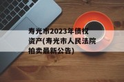 寿光市2023年债权资产(寿光市人民法院拍卖最新公告)