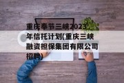 重庆奉节三峡2023年信托计划(重庆三峡融资担保集团有限公司招聘)