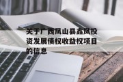 关于广西凤山县鑫凤投资发展债权收益权项目的信息