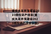 重庆大足开发建设2023债权资产项目(重庆大足开发建设2023债权资产项目公告)