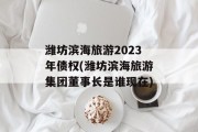 潍坊滨海旅游2023年债权(潍坊滨海旅游集团董事长是谁现在)