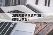 龙阳天府债权资产(债权转让平台)