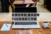 重庆市武隆区2023年债权项目(重庆武隆2020年政府工作报告)