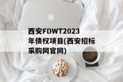西安FDWT2023年债权项目(西安招标采购网官网)