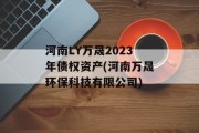 河南LY万晟2023年债权资产(河南万晟环保科技有限公司)