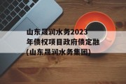 山东晟润水务2023年债权项目政府债定融(山东晟润水务集团)
