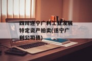 四川遂宁广利工业发展特定资产拍卖(遂宁广利公司债)