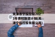 天津市宁投控股2023年债权融资计划(天津宁投控股有限公司)