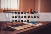 山东省青岛市2024年政信项目(青岛政府信息公开平台)