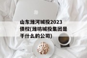 山东潍河城投2023债权(潍坊城投集团是干什么的公司)