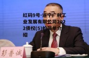 红码9号-遂宁广利工业发展有限公司2022债权(5)的简单介绍