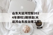 山东大运河控股2024年债权1期项目(大运河山东段治理工程)
