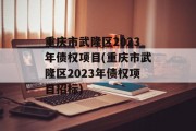 重庆市武隆区2023年债权项目(重庆市武隆区2023年债权项目招标)