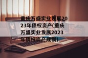 重庆万盛实业发展2023年债权资产(重庆万盛实业发展2023年债权资产规模)