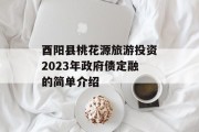 酉阳县桃花源旅游投资2023年政府债定融的简单介绍