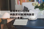 蚌埠市XX2024定向融资计划(蚌埠融资500亿是谁)