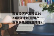 西安泾河产发投资2023融资计划(泾河产业发展集团待遇咋样)