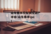 山东泰丰控股债权资产项目(山东泰丰ipo)
