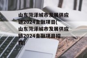 山东菏泽城市发展供应链2024金融项目(山东菏泽城市发展供应链2024金融项目招聘)
