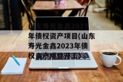 山东寿光金鑫2023年债权资产项目(山东寿光金鑫2023年债权资产项目开工)