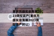 重庆万盛实业发展2023债权资产(重庆万盛实业发展2023债权资产转让)