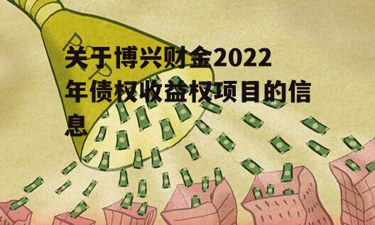关于博兴财金2022年债权收益权项目的信息