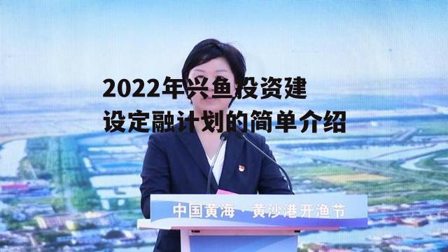 2022年兴鱼投资建设定融计划的简单介绍