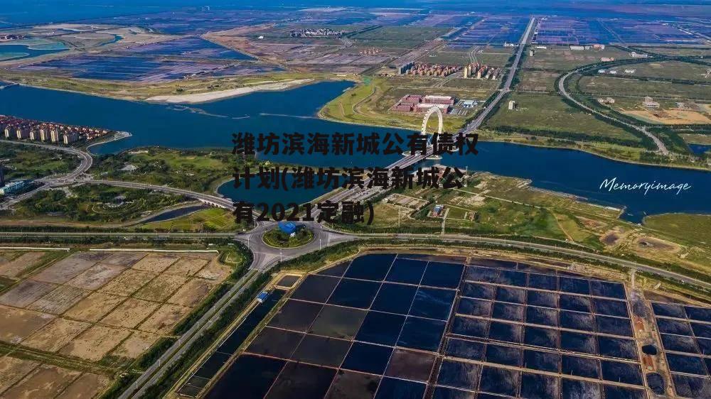 潍坊滨海新城公有债权计划(潍坊滨海新城公有2021定融)