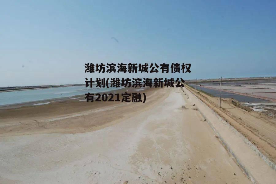 潍坊滨海新城公有债权计划(潍坊滨海新城公有2021定融)