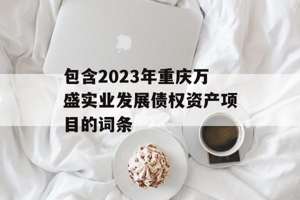 包含2023年重庆万盛实业发展债权资产项目的词条