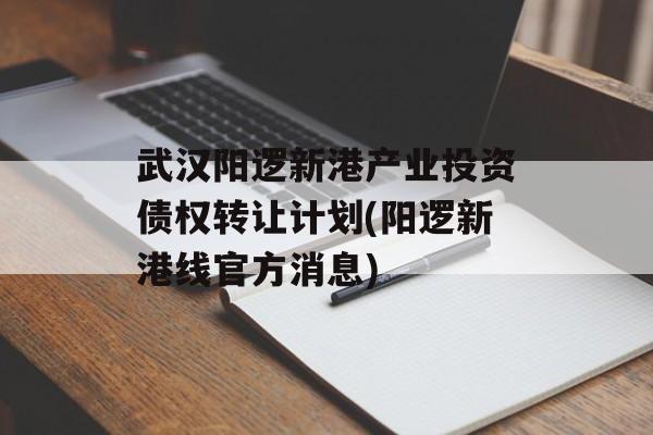 武汉阳逻新港产业投资债权转让计划(阳逻新港线官方消息)