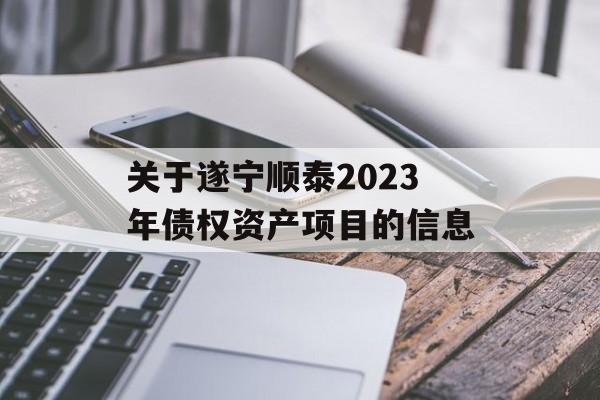 关于遂宁顺泰2023年债权资产项目的信息