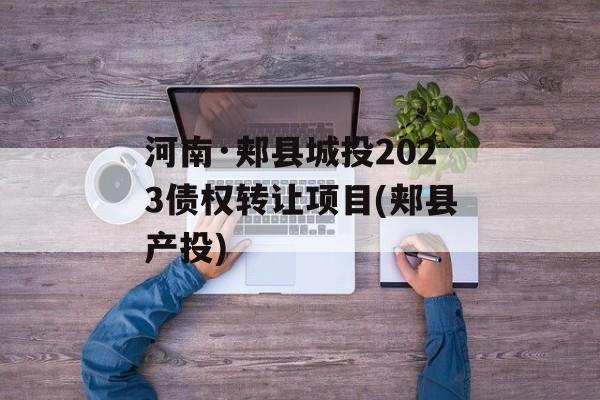 河南·郏县城投2023债权转让项目(郏县产投)