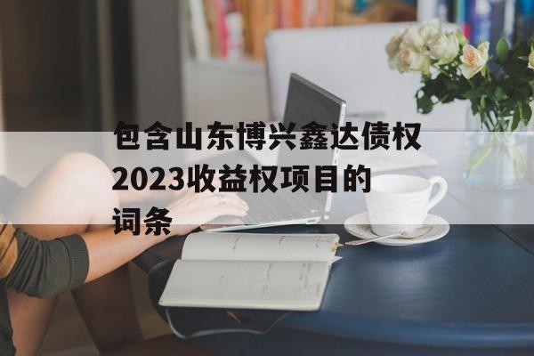 包含山东博兴鑫达债权2023收益权项目的词条