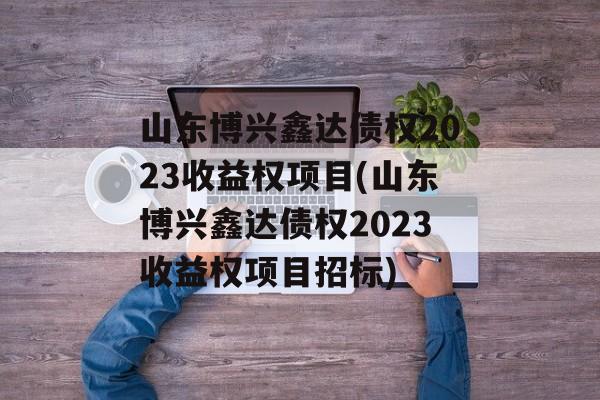 山东博兴鑫达债权2023收益权项目(山东博兴鑫达债权2023收益权项目招标)