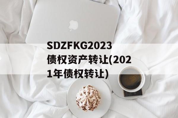 SDZFKG2023债权资产转让(2021年债权转让)