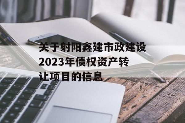 关于射阳鑫建市政建设2023年债权资产转让项目的信息